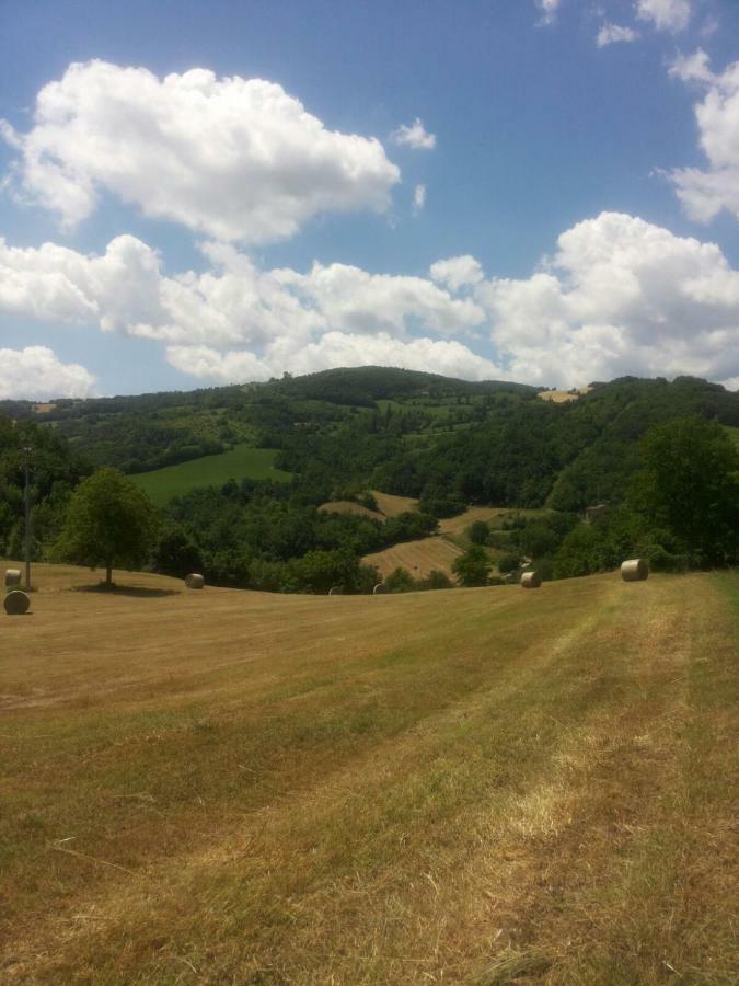 App.To Pian Del Ronco Apartment Pellegrino Parmense Luaran gambar